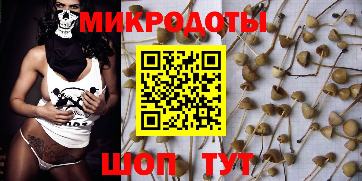 Псилоцибиновые грибы Cubensis  Псилоцибиновые грибы ЛСД  Россошь  Вход с VPN 