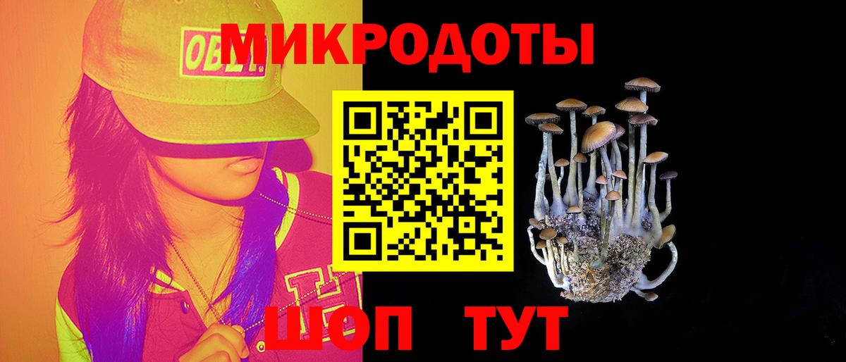 Галлюциногенные грибы Psilocybe Россошь